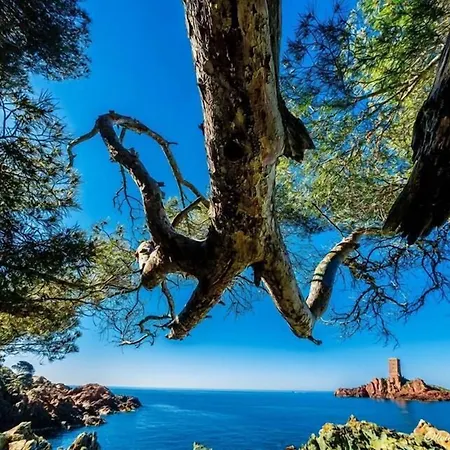 누벨 2* Saint-Raphaël