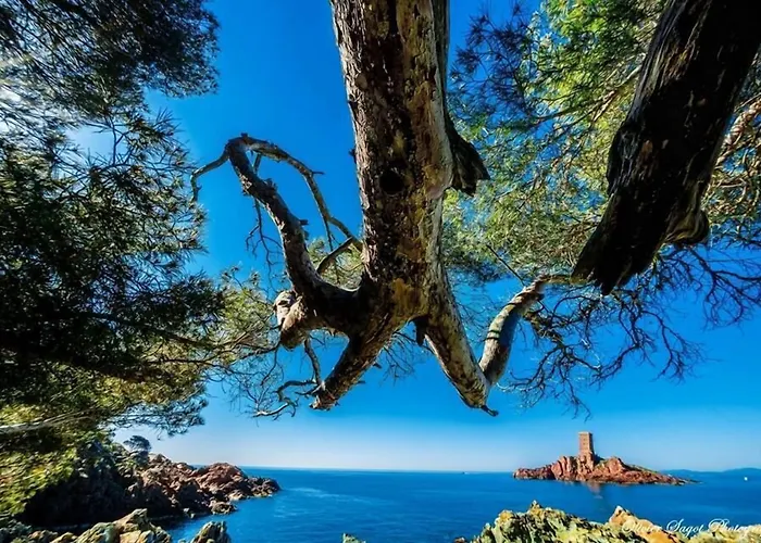 Nouvel 2* Saint-Raphael (Var)